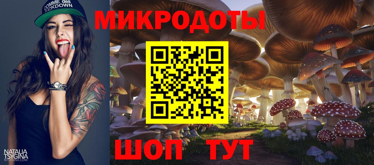 Галлюциногенные грибы Cubensis  Вход с VPN  Усть-Джегута 